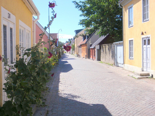 Visby city wall/fortress.